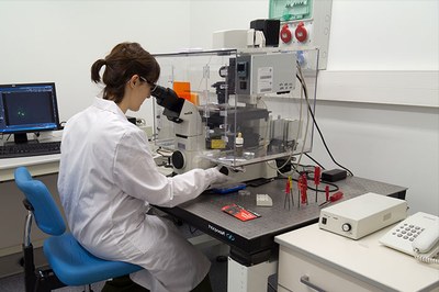 S’actualitzen els criteris per obtenir la intensificació en recerca