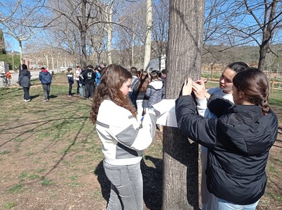 Un grup de noies d'ESO fent mesures en un arbre al Parc de la Torre Roja de Viladecans