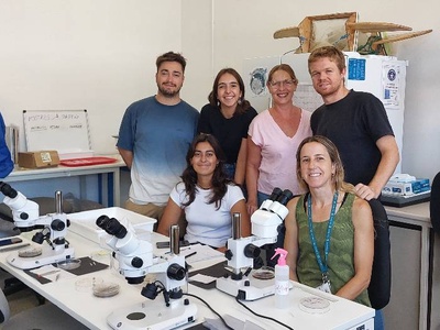 Equip de la UB que ha participat en l'estudi. D'esquerra a dreta, i de dalt a baix, els experts Oriol Uviedo, Arantxa Estrada, Montse Guart, Liam de Haan, Carla Martínez i Anna Sanchez-Vidal