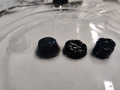 Diverses mostres de l'hidrogel. El color negre indica l'aplicació de nanopartícules de polímer conductor