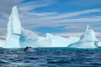 El Laboratori d’Aplicacions Bioacústiques de la UPC investiga la contaminació acústica dels oceans des de l'Antàrtida