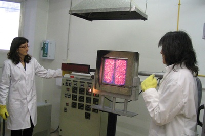 Equip del Laboratori del Foc