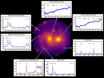 L’avantatge del LIFU prové de la gran quantitat d’informació continguda en cada observació. Utilitzant petits desplaçaments de l’apuntat, WEAVE ha produït, en dues hores, espectres per a 31.500 regions a l’interior i al voltant d’aquestes galàxies. Crèdits: Marc Balcells, Javier Méndez.