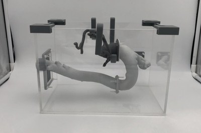 Biomodel d’artèries coronàries fabricat pels estudiants a partir de tecnologia Multi Jet Fusion d'HP i Draft Resin de Formlabs