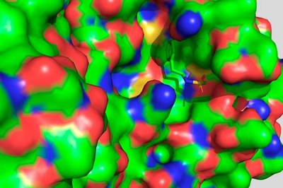 Identifiquen molècules antivirals contra el SARS-CoV-2