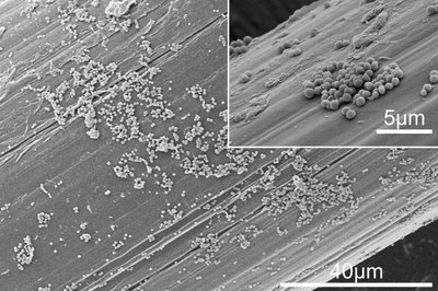 La llum i la nanotecnologia es combinen per prevenir la contaminació bacteriana dels implants mèdics