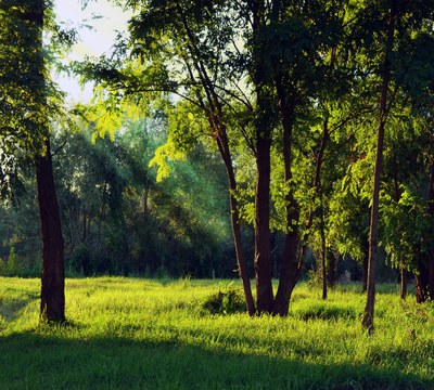 Arriba la Universitat Catalana d’Estiu de la Natura (UCEN), en format virtual
