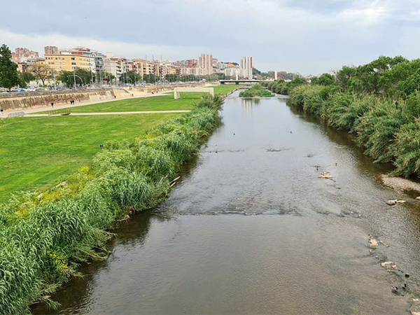 Riu amb una ciutat al fons