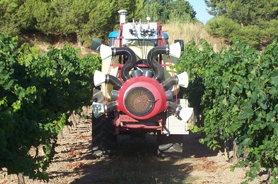 La UPC presenta una app per al sector vitícola