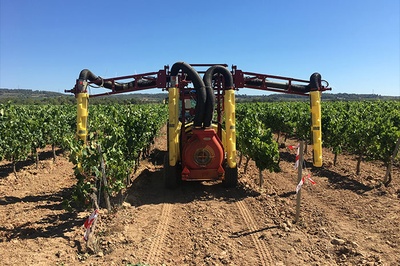 La UPC presenta una app per al sector vitícola