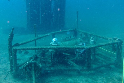 L'observatori submarí OBSEA de la UPC va captar el terratrèmol de l'Alt Urgell, el 3 d'abril