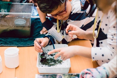 Més de 250 escolars han presentat projectes de recerca sobre la llum a la segona edició del congrés Recerkids, a la UPC