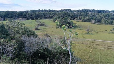 Vista general d'una àrea boscosa a Colòmbia, una de les zones estudiades per l'investigador