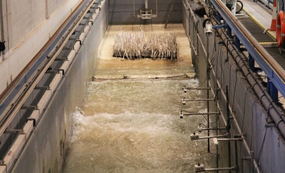 Posidònies de plàstic per protegir les platges de les erosions i les inundacions