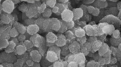 Imatge ampliada d'un dels nous materials nanoporosos amb què treballa Jordi Sort