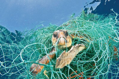 Ulleres fabricades amb xarxes de pesca reciclades, un model de bones pràctiques en disseny sostenible
