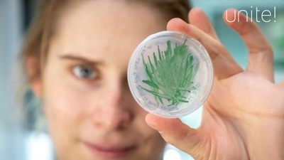 Investigadora en laboratori observant una mostra