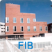 FIB