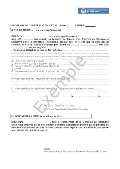 exemple pla de treball