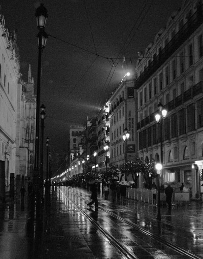 P127.JPG P127.JPG
