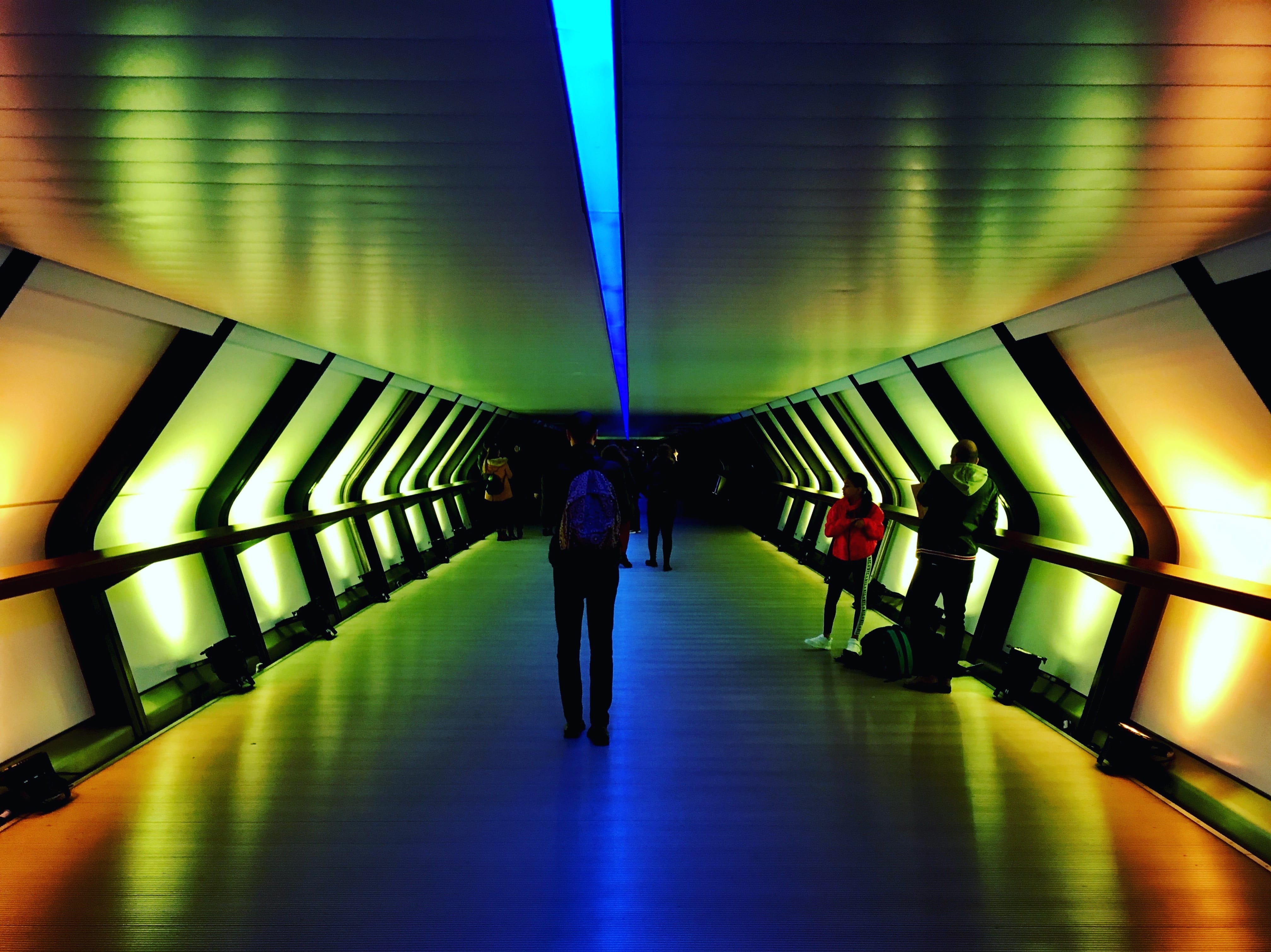 P8 FOLLOW THE LIGHTS.jpg
