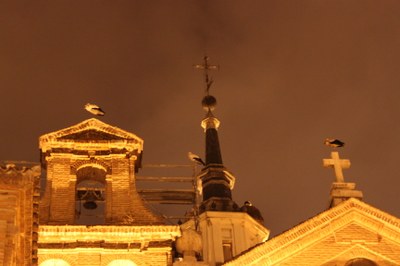 P50.jpg P50.jpg