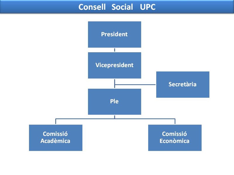 Organigrama Consell Social