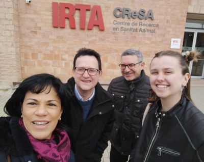 Impressió 3D de galeta antiviral per a porcs