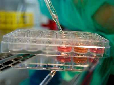 A researcher studying the biological effects of gas plasma and plasma-treated liquids. Photo: ©Toni Santiso / Rectimepro