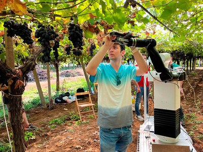 A researcher testing the first robot prototype of the CANOPIES project in Corsira (Italy) last Summer