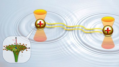 Ions immersed in a Bose-Einstein condensate can produce polarons, with properties quite different from those of bare ions. Two separate polarons can interact via condensate density modulation forming a two-body bound state that resembles a bipolaron. In experiments, an optical tweezer is used to place ions in a Paul trap or to freeze ions’ motion, as shown in the image.