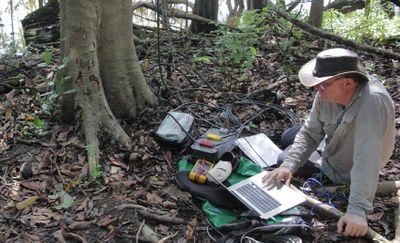 Researchers from UPC, Brazil and Australia get the first images and sounds of an observatory installed in the Amazon