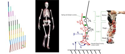 Researchers manage to perform biomechanical simulations up to 20 times faster