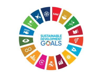 The 17 United Nations Sustainable Development Goals (SDGs)