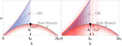 Illustration of the hole anomaly in the excitation spectrum of interacting bosons in one dimension