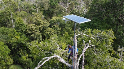 Instalación de tecnología para monitorizar la biodiversidad de la Amazonia en la Reserva de Mamirauá, en el marco del proyecto Providece. matge de Guilherme Alvarenga