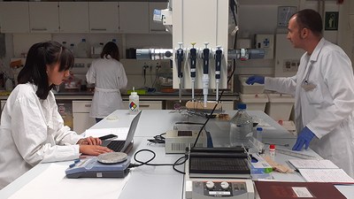 Investigadores trabajando en el Laboratorio de Biomateriales del Campus Diagonal-Besòs