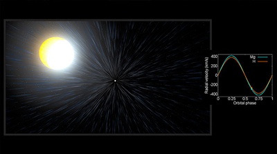 Usando un método pionero, el equipo ha medido la velocidad de las dos caras de la estrella compañera