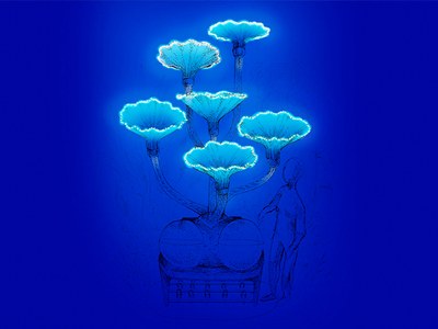 Imagen ilustrativa del proyecto de Samira Benini