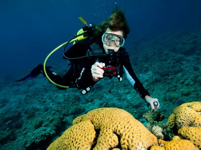 Sylvia A. Earle bucenado y observando flora en el fondo marino. © Susan Middleton Sylvia A. Earle observando una gaviota en una de sus expediciones. © Amos Nachoum