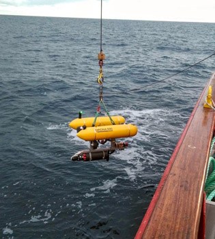 Los robots submarinos, clave para conocer y proteger a las especies de gran profundidad
