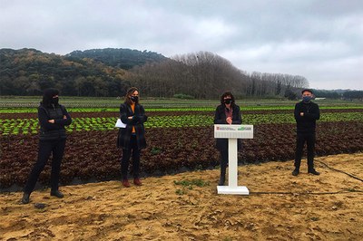 Presentado el Plan director de la huerta de Cataluña, elaborado por la UPC-EEABB y la Fundación Miquel Agustí