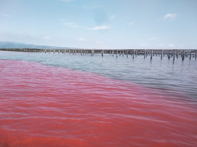 Imagen de las aguas del Delta teñidas por la rodamina