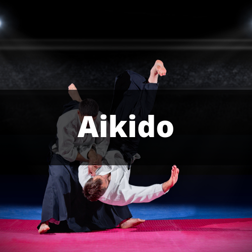 Aikido.png