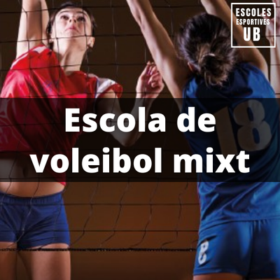 Escola voleibol.png