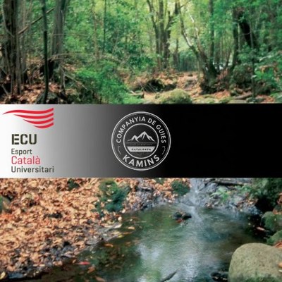 Senderisme al Montseny.jpg