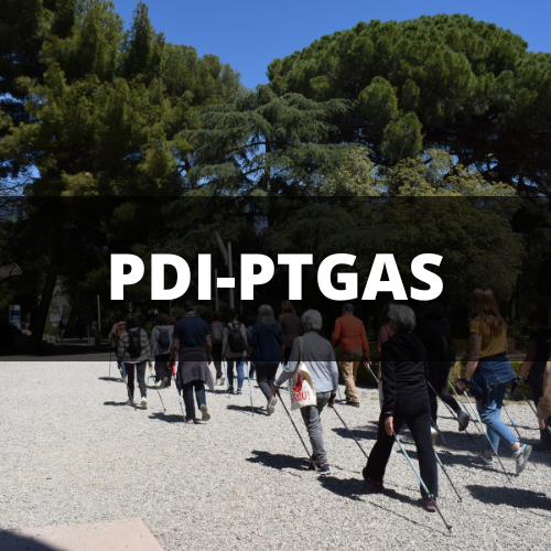 PDI-PTGAS