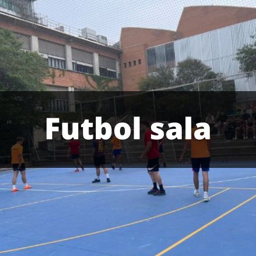 Futbol sala