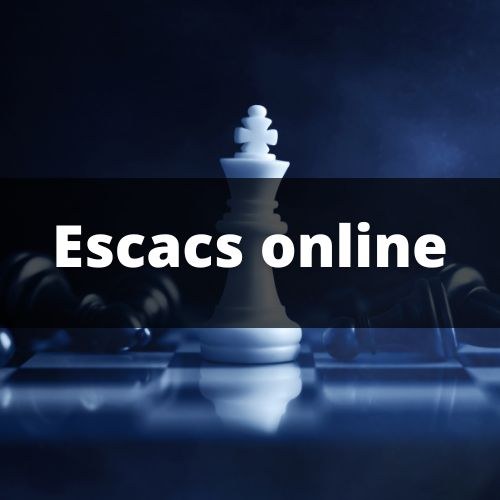 Escacs online Terrassa.jpg