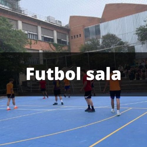 Futbol sala Terrassa.jpg